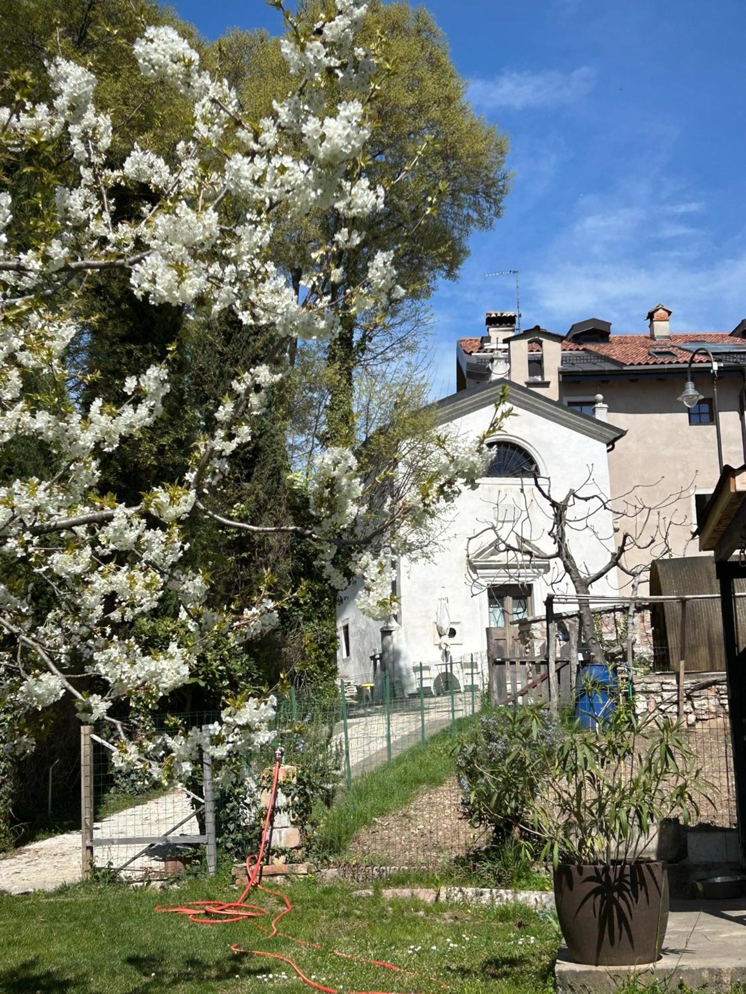 Holliday Charming Home Trento Dış mekan fotoğraf