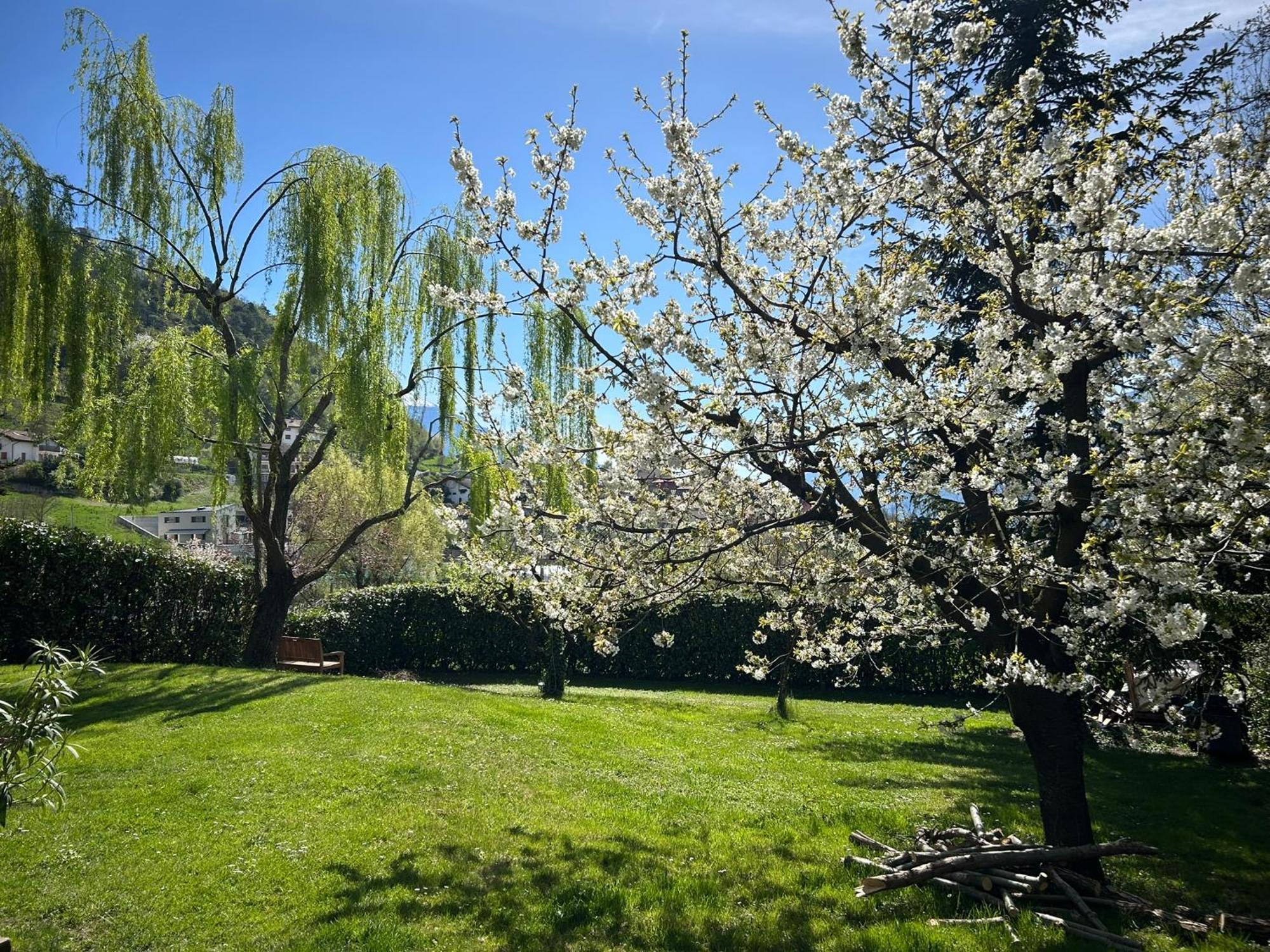 Holliday Charming Home Trento Dış mekan fotoğraf