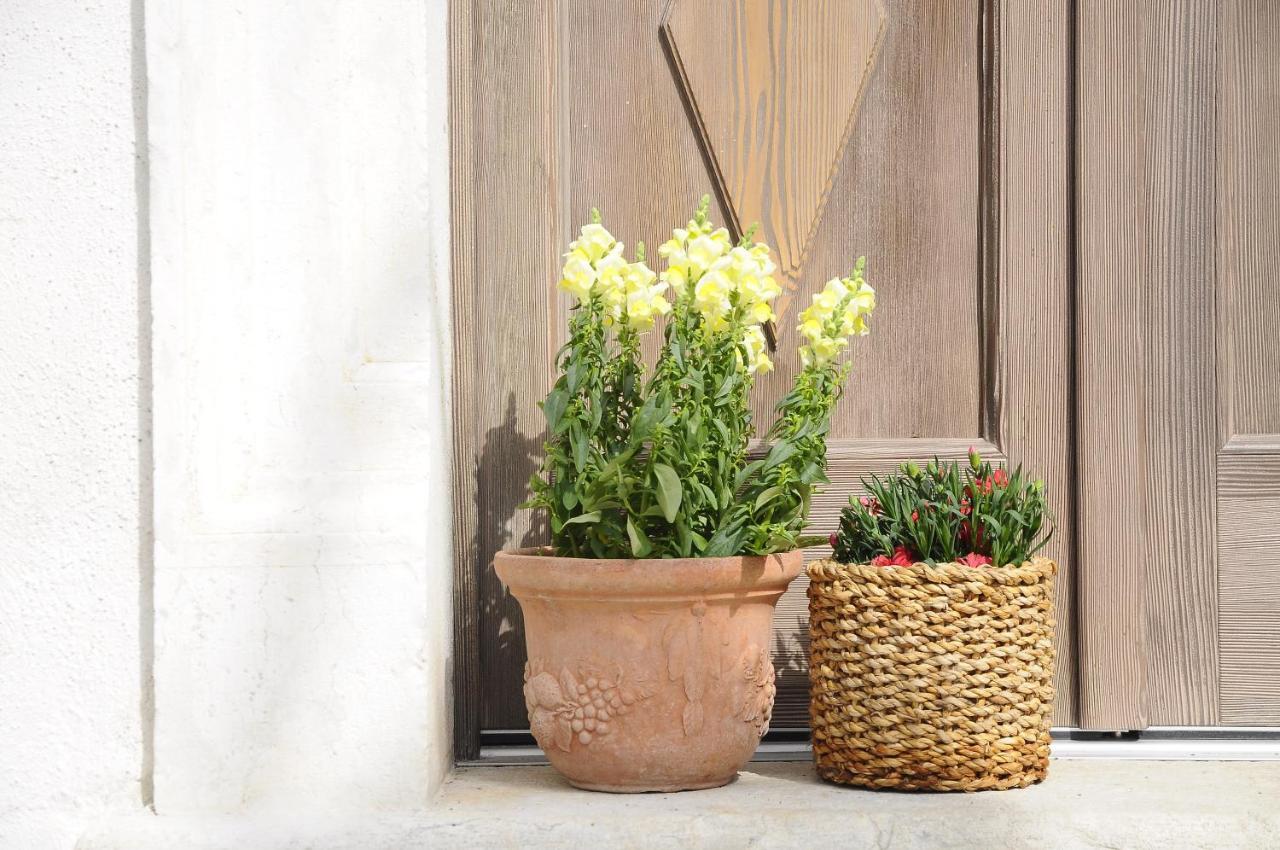 Holliday Charming Home Trento Dış mekan fotoğraf
